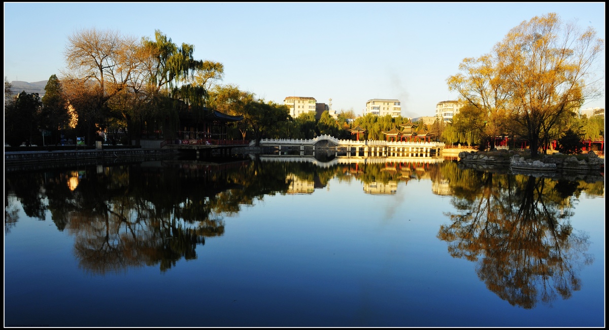 _DSC2450 - .JPG