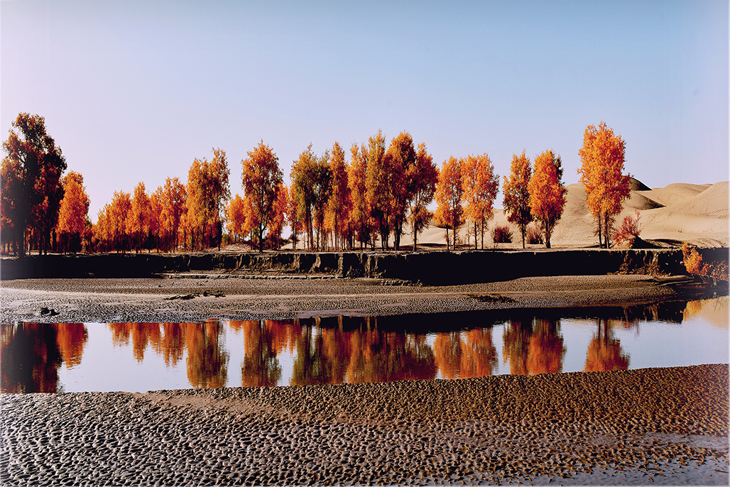 DSC_1535-1.jpg