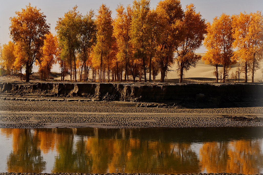 DSC_1531-1.jpg