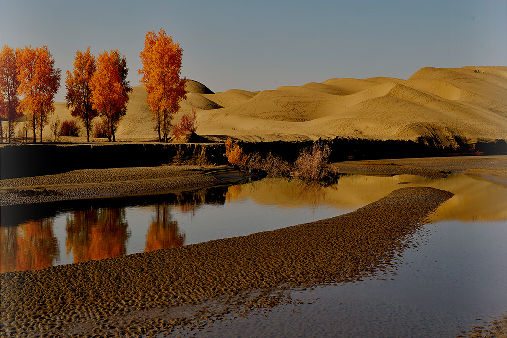 DSC_1533-1.jpg