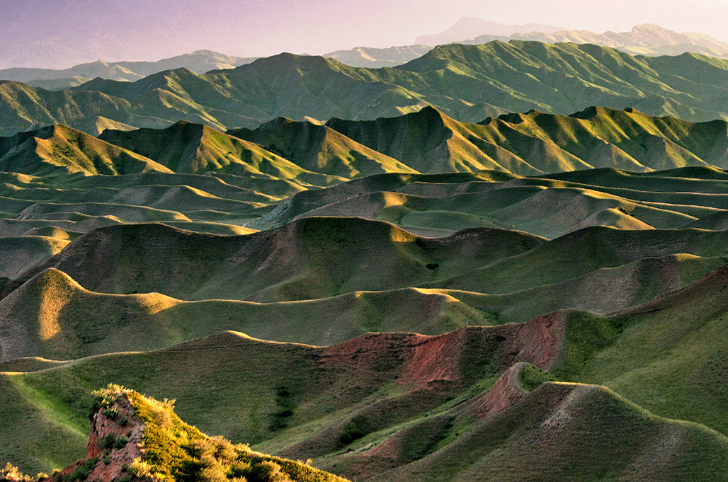 DSC_7513-1.jpg