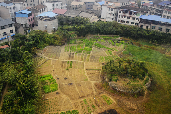  20141018a 01212.jpg
