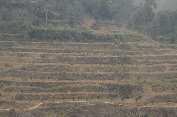  20141018a 02912.jpg