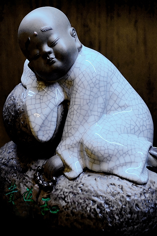 DSC09495СƬ.jpg