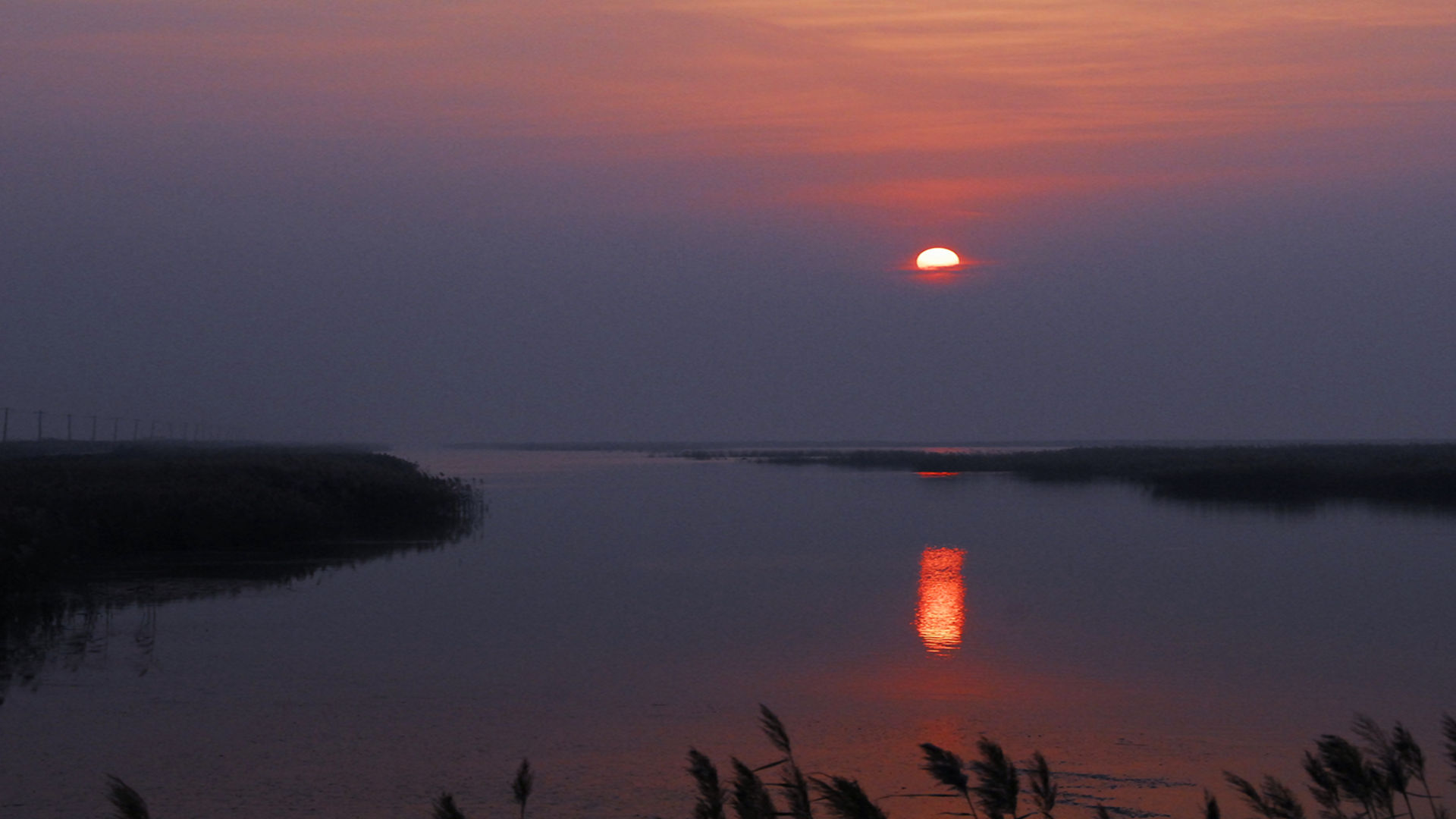 _DSC0119_.jpg