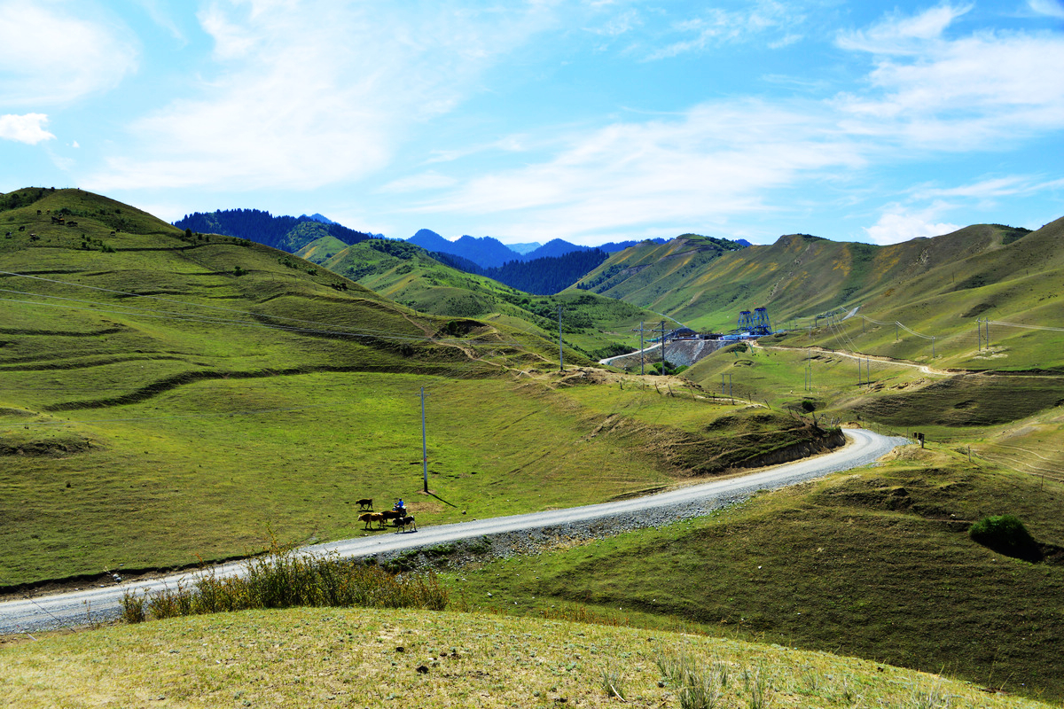 _DSC0548.jpg