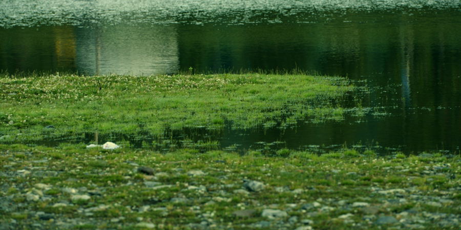_DSC0291.jpg