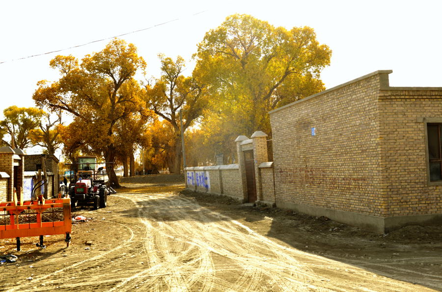 ϺԵı