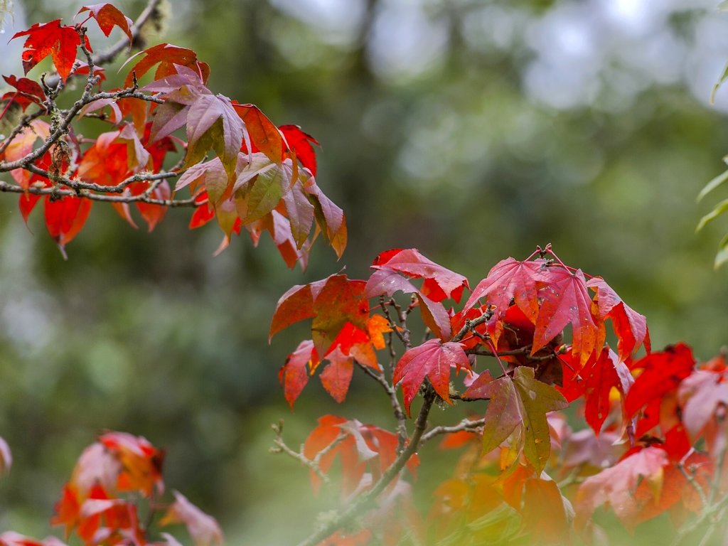 _DSC6025.jpg