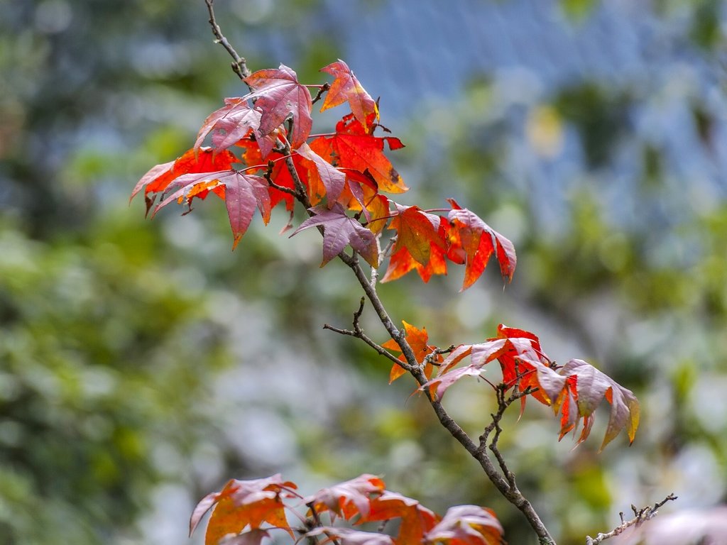 _DSC6028.jpg