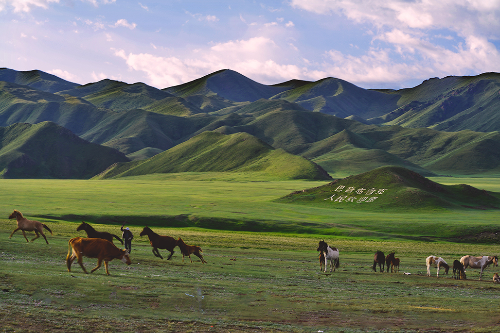 DSC_6355-1.jpg