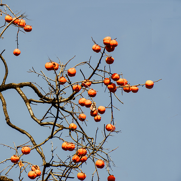 2014119a08012.jpg