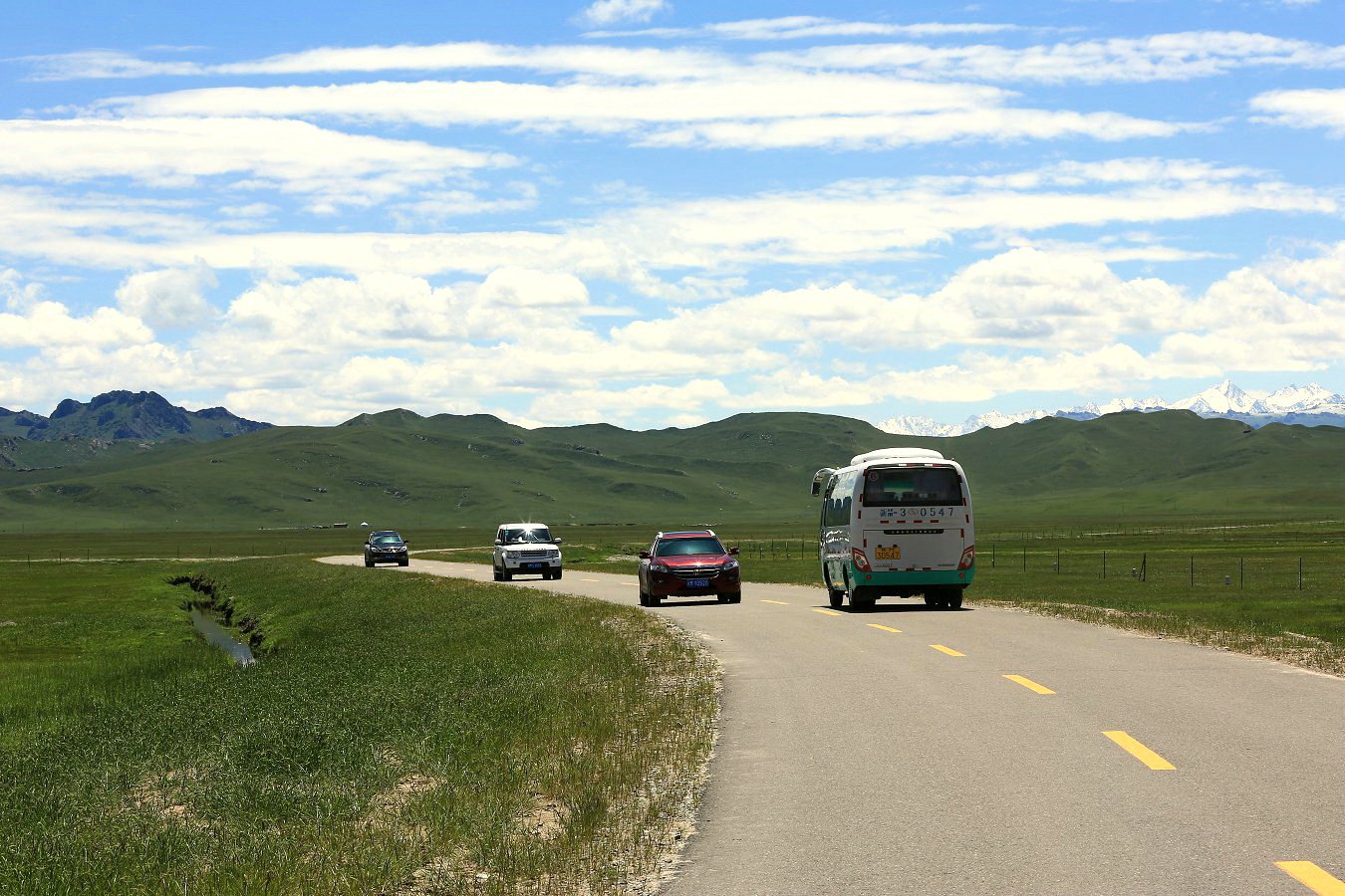 479A1599q.jpg
