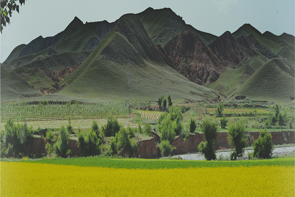 DSC_2373-1.jpg