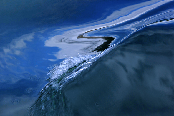 _Y0R2428_1.jpg