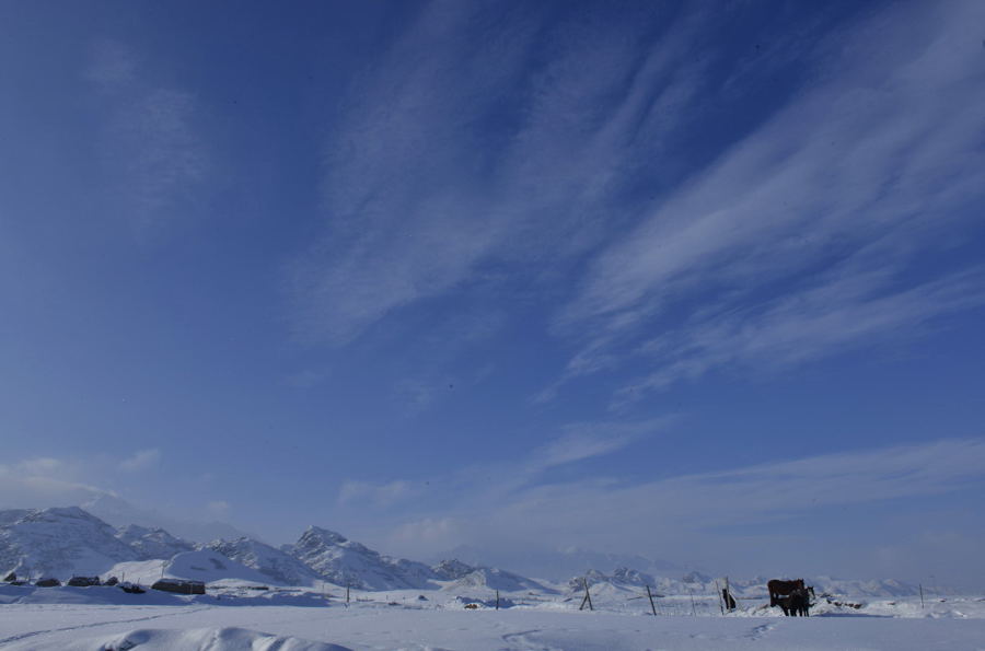 _DSC0188.jpg