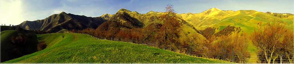 DSC00880-1.jpg