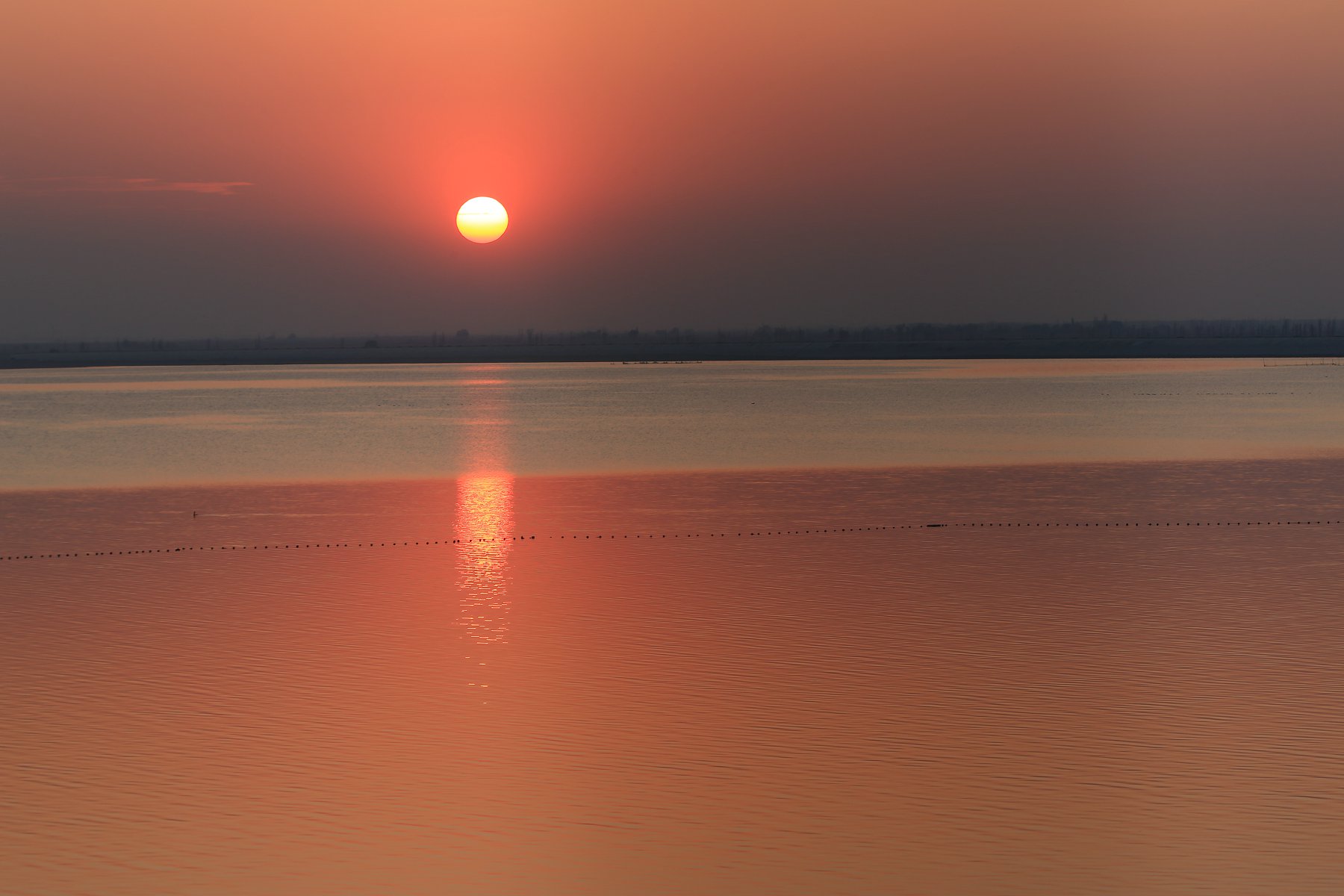 479A8722.JPG