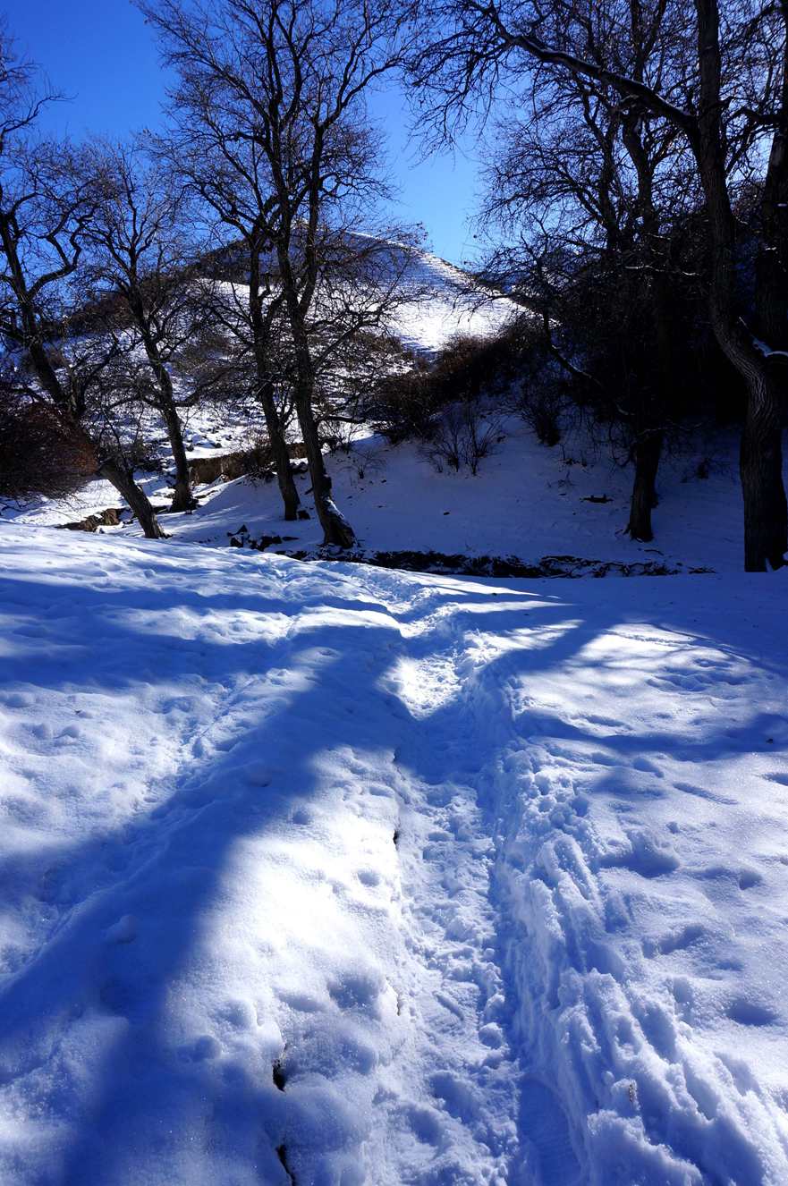 DSC01350__.jpg