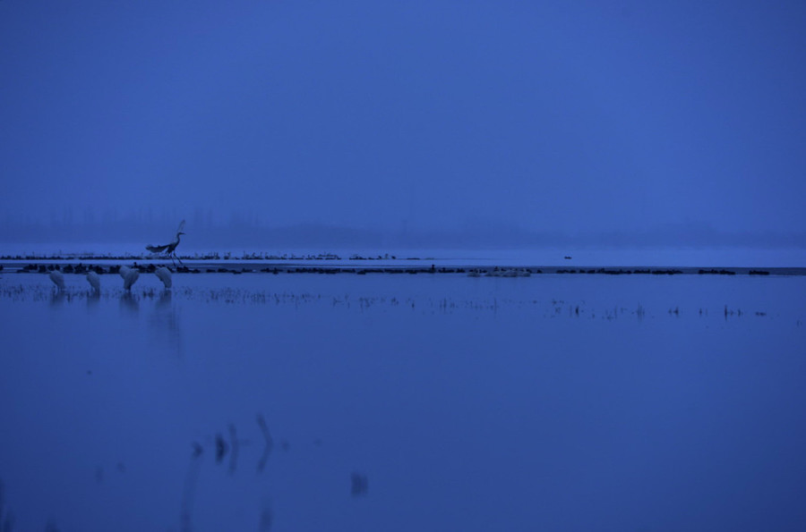 _DSC0094.jpg