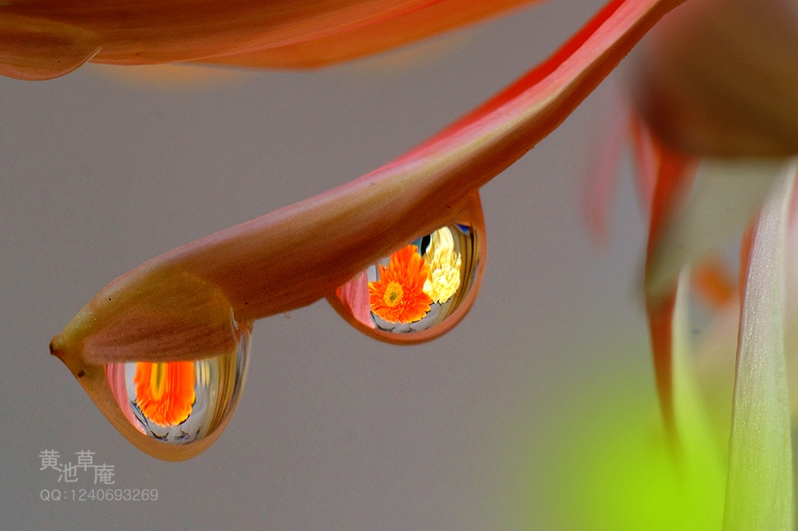 DSC04721.jpg