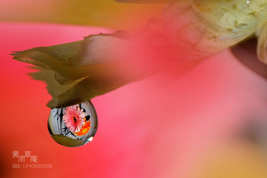 DSC04724.jpg