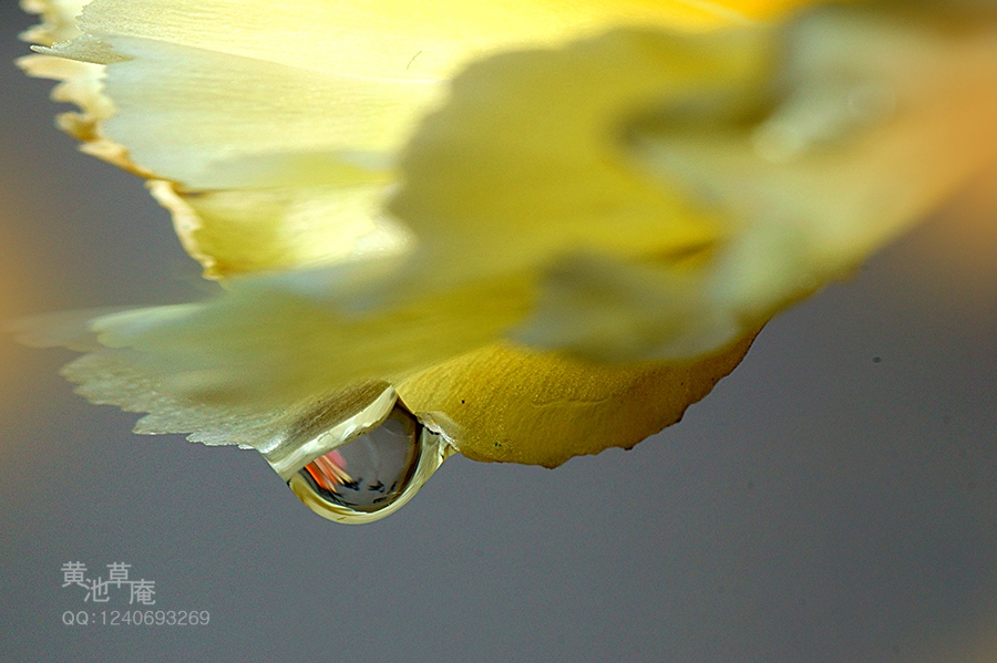 DSC04728.jpg