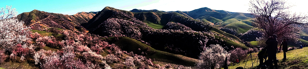 DSC00924-1.jpg