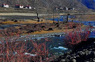 DSC_0146.JPG