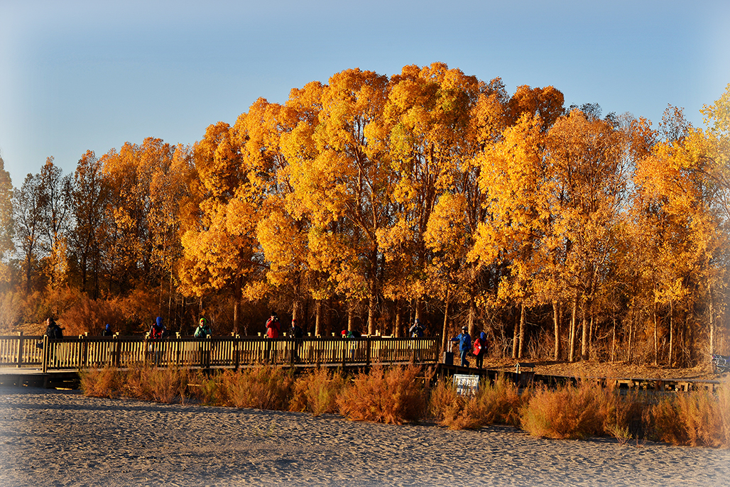 DSC_0523-1.jpg