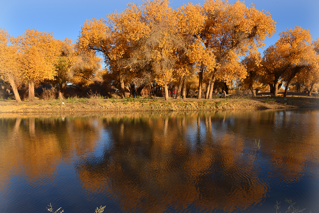 DSC_0541.JPG