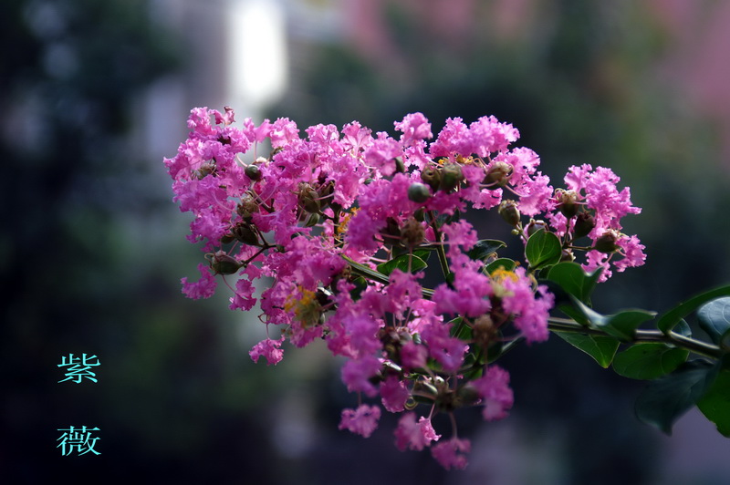 PICT0037.jpg