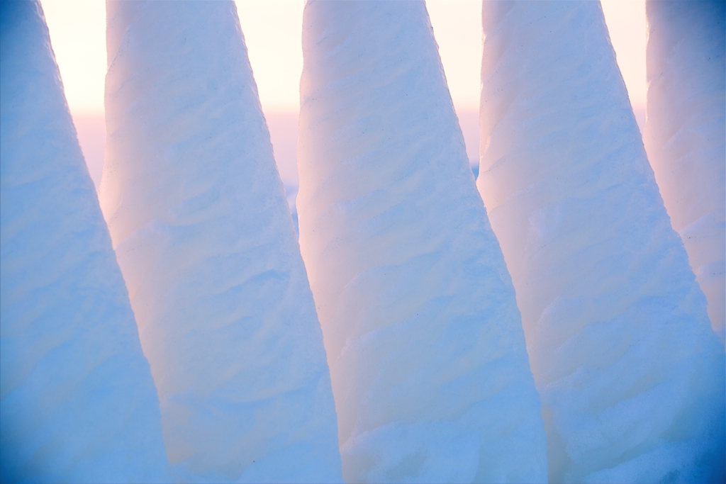 CU0A38331.jpg