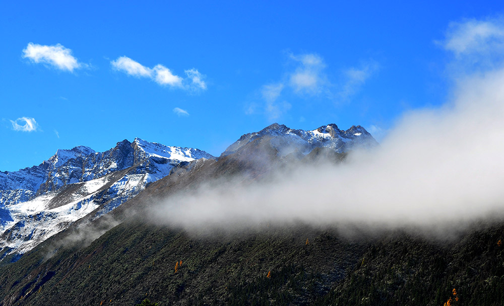 DSC_0127.JPG