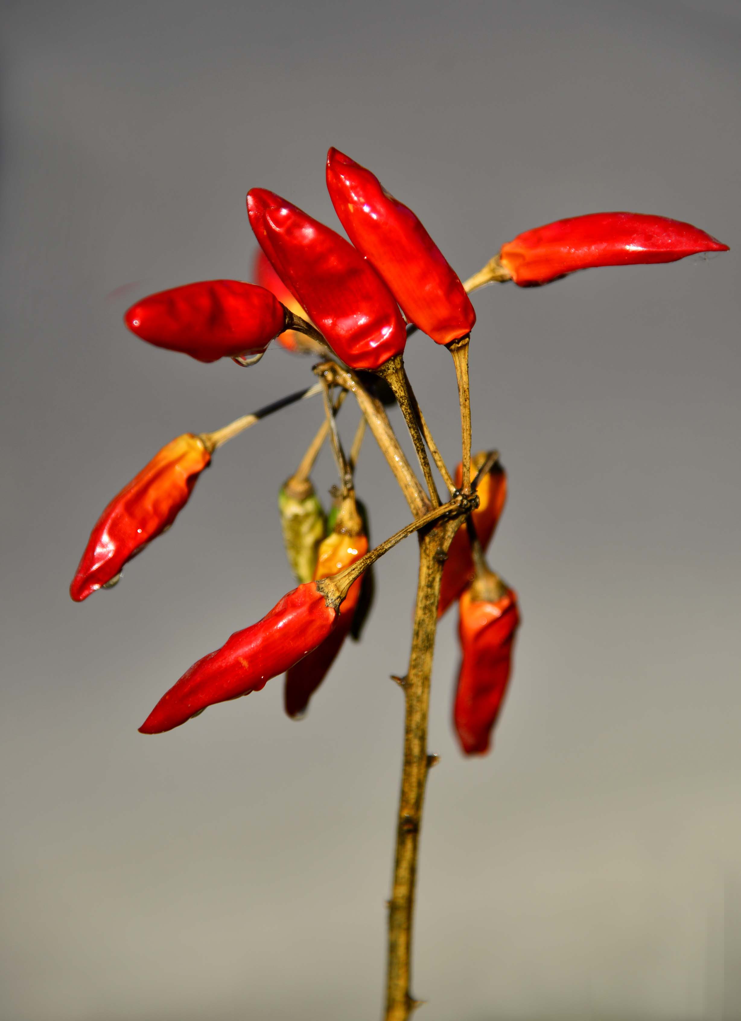 ǰķ-3.jpg