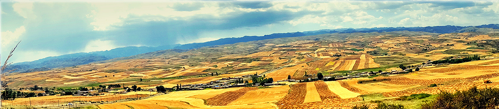 DSC01485-1.jpg
