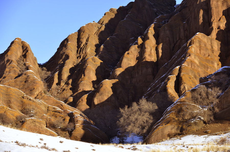 _DSC0129.jpg