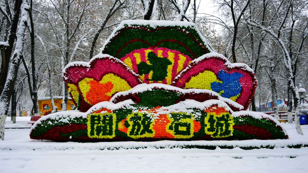 nEO_IMG__DSC9599.jpg