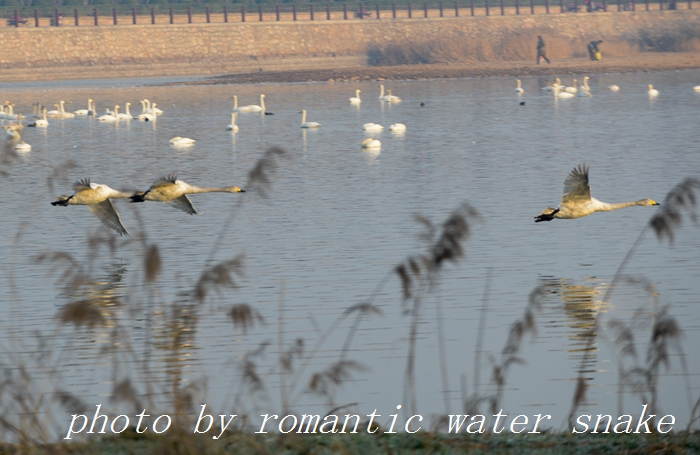 DSC_3874.jpg
