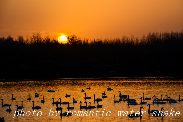 DSC_4147.jpg