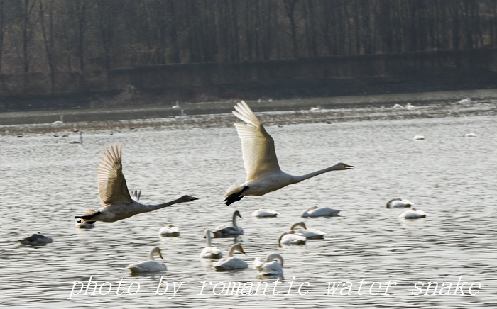 DSC_3964.jpg