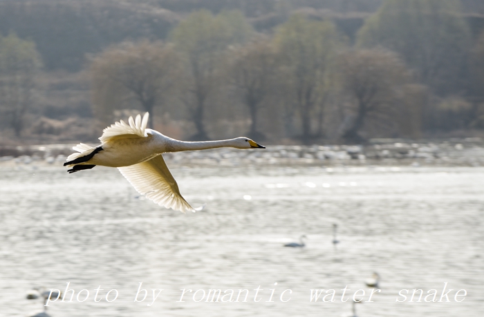 DSC_4002.jpg
