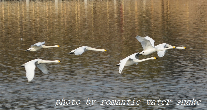 DSC_4088.jpg