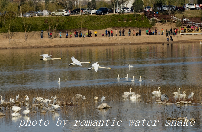 DSC_4094.jpg