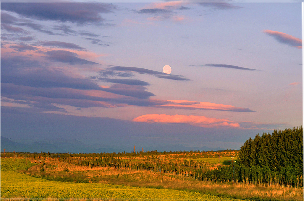 DSC_8306-1.jpg