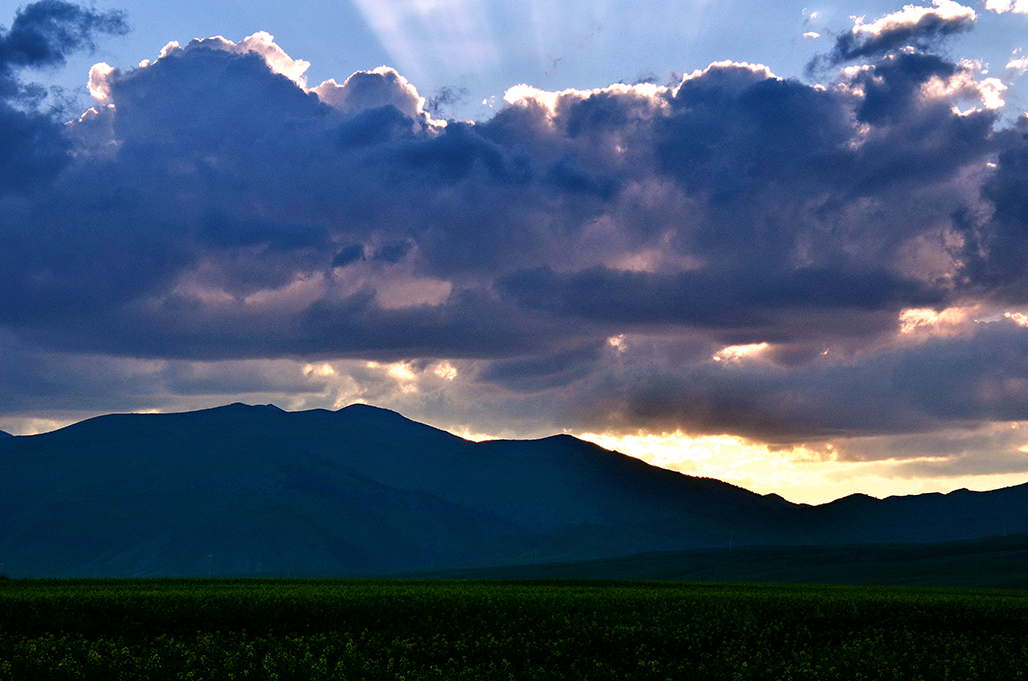 DSC_8373-1.jpg