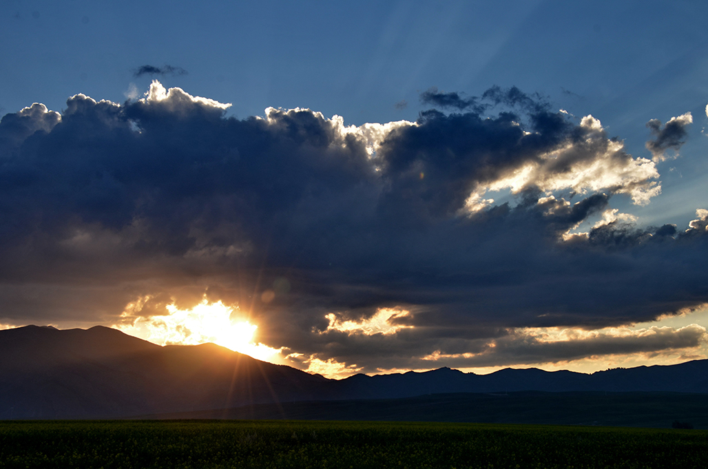 DSC_8382-1.jpg