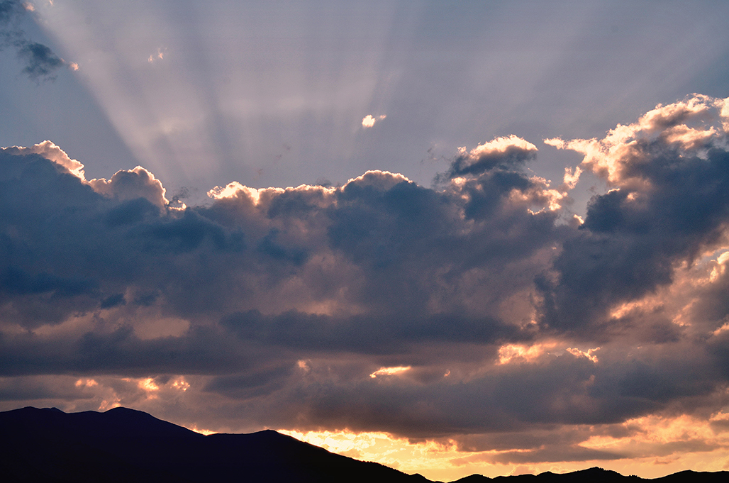 DSC_8372-1.jpg