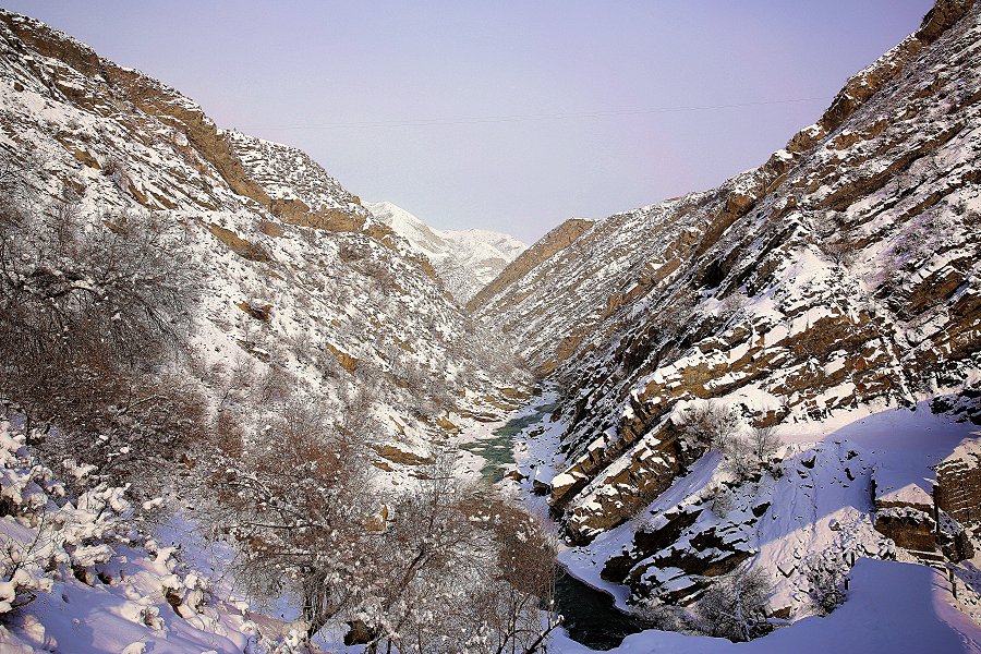 479A3812_.jpg
