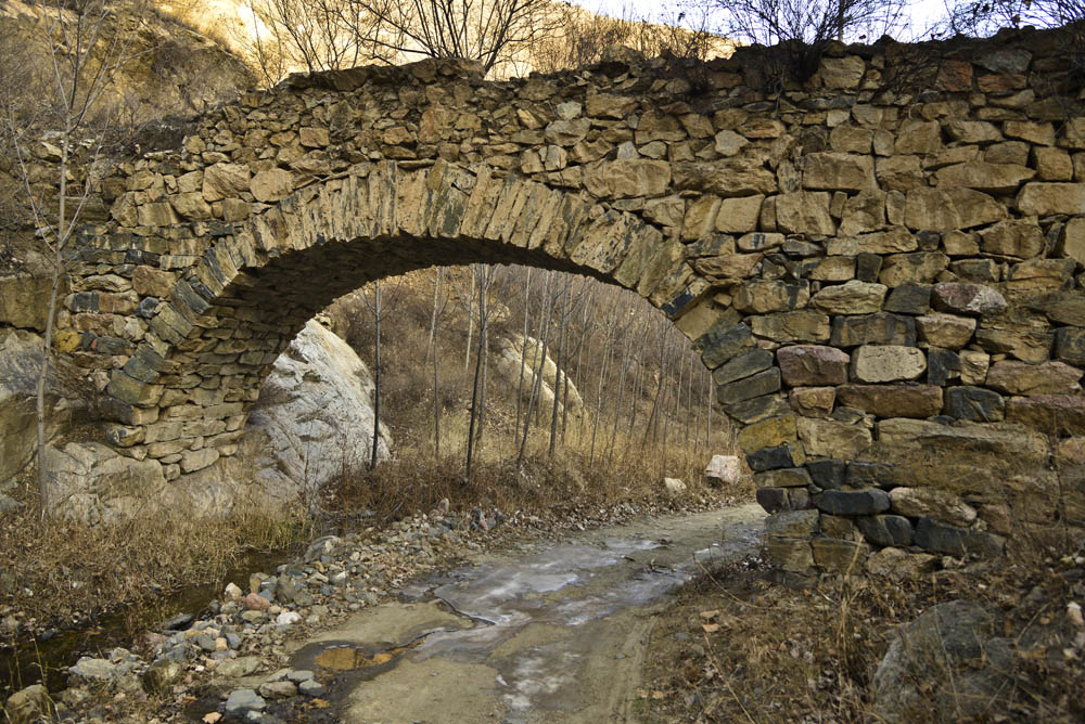 _LMZ4777.jpg